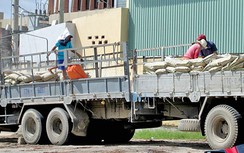 Kỳ 2: Dồn tải ngay trước cổng nhà máy xi măng