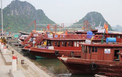 Quy định tuổi tàu khách lưu trú du lịch ngủ đêm