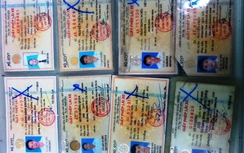 Phát hiện và tịch thu 44 GPLX giả qua TTKS