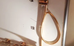 Đại gia Hà thành chi 140 cây vàng chỉ để dát trong toilet