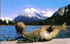 Kỳ bí những xác ướp nàng tiên cá