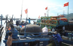 Xăng dầu giảm giá, tàu cá vươn khơi