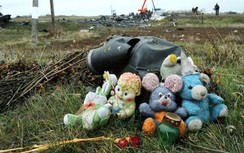 Vụ MH17: Thân nhân hành khách yêu cầu LHQ điều tra