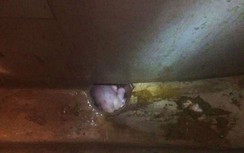 Cận cảnh giải cứu bé sơ sinh bị mẹ đẻ vứt vào bồn cầu