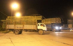 Ban hành Chỉ thị ngăn chặn xe quá khổ, quá tải