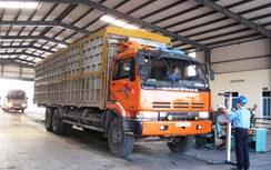 Tạm đình chỉ 4 cán bộ Trung tâm đăng kiểm Thanh Hóa