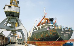 Lỗ vận tải của Vinalines đã giảm quá nửa