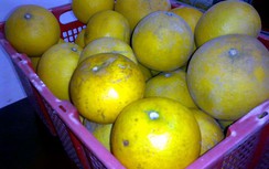 Cháy Bưởi Diễn tết: Hàng xấu dân buôn cũng không mua nổi