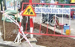 Dừng đào đường nửa tháng trước và sau Tết
