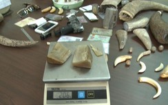 Buôn bán sừng tê giác, có súng nhựa hù dọa khách