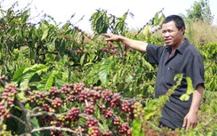 Cho dân thuê đất quốc phòng, Sân bay Pleiku không thể GPMB