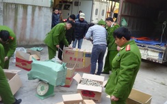 Gần 5 tạ pháo lậu được vận chuyển lúc nửa đêm