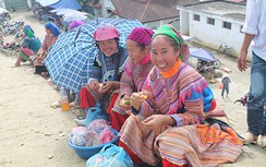 Gợi ý những điểm du lịch tuyệt vời cho Tết Dương lịch