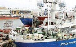 Nhiều nhà đầu tư nước ngoài quan tâm tới SBIC