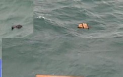 Vụ AirAsia: Các mảnh vỡ là của máy bay mất tích