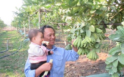 Cả làng phất lên nhờ "lộc Phật"