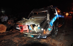 Đắk Lắk: Cây cổ thụ bật gốc đè nát xe CSGT