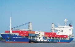 Doanh nghiệp vận tải biển có dấu hiệu phục hồi