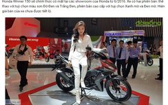 Trang tin xuất bản "chui" có thể bị đóng cửa (Bài 4)