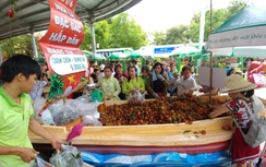 Gần 1.000 tấn hoa quả “đổ về” Lễ hội trái cây Nam bộ 2018