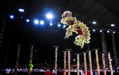 TP.HCM: 108 con lân đồng diễn xác lập kỉ lục Việt Nam