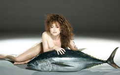 Chụp ảnh khỏa thân với cá để gây quỹ