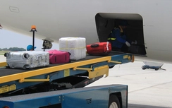 Tóm gọn một nhân viên bốc xếp trộm iPad của khách