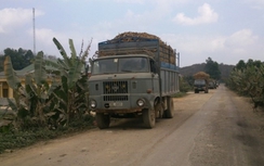 Cần giám sát chặt, xử nghiêm ngay từ địa bàn xã, phường