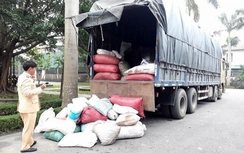 Thay thế người đứng đầu dung túng buôn lậu