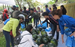 Sinh viên “giải cứu dưa hấu”