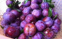 Quả mận giảm cân, làm đẹp da