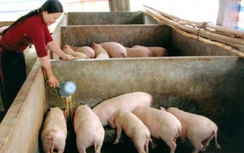 Cần tôn trọng nông dân