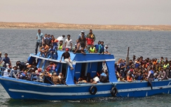 Ý bắt giữ 38 kẻ buôn bán nội tạng người di cư