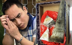 Bắt người đàn ông mang sừng tê giác 4 tỷ lên máy bay