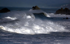 Dự báo thời tiết ngày 11/12: Áp thấp Biển Đông, Nam Bộ mưa lớn