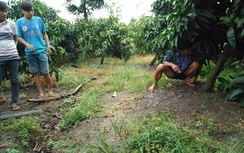 Báo bị cướp để… lừa chính gia đình