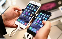 Lý do gì khiến Apple, Samsung bị phạt hàng triệu euro?