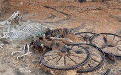 Cận cảnh cỗ xe còn nguyên xác người và ngựa từ 3.500 năm trước