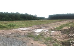 Vì sao công ty Alibaba bị điều tra?