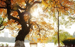 Thời tiết ngày 22/3/2018: Hà Nội sáng rét, trưa chiều nắng ấm