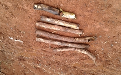 Đào vườn trồng chuối, phát hiện hàng chục quả bom bi