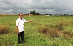 Ruộng đồng bị bồi lấp, dân “dài cổ” chờ hỗ trợ vụ mùa