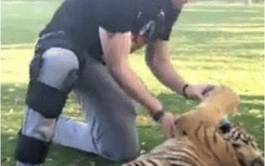 Rảnh rỗi, Rooney đi chơi với… “chúa sơn lâm”