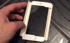 Apple có mẫu điện thoại màn hình 4 inch mới?