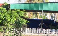 Tài xế taxi treo cổ tự tử nghi do vỡ nợ