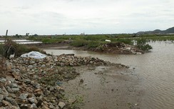 Hà Tĩnh: Người nuôi trồng thủy hải sản lao đao vì đê bao vỡ