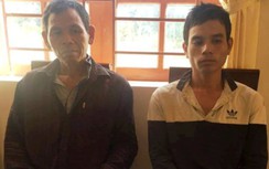 Trộm bò hàng xóm giết thịt vì... thèm lòng nhắm rượu