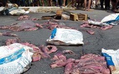 Chở hải sản thối ra đồng chôn, bị dân phát hiện ném ra đường