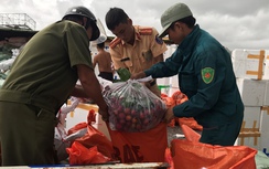 Lật xe container, dân giúp tài xế gom gần 30 tấn hoa quả