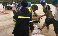 Nguy cơ vỡ đập Gà: 150 người trắng đêm chở đất đá đắp kè